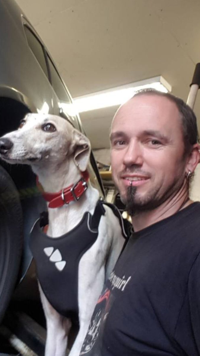 SteveMcguirl's tweet photo. Well done Santos!!😍 his first morning at work Santos  already  big hit with customers!!😉 #CandyCaneRescue #BGPuk #lovedogs #rescuesavealife https://t.co/fNjjLPogpq