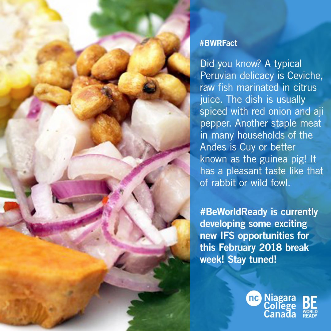 Be World Ready tweet media