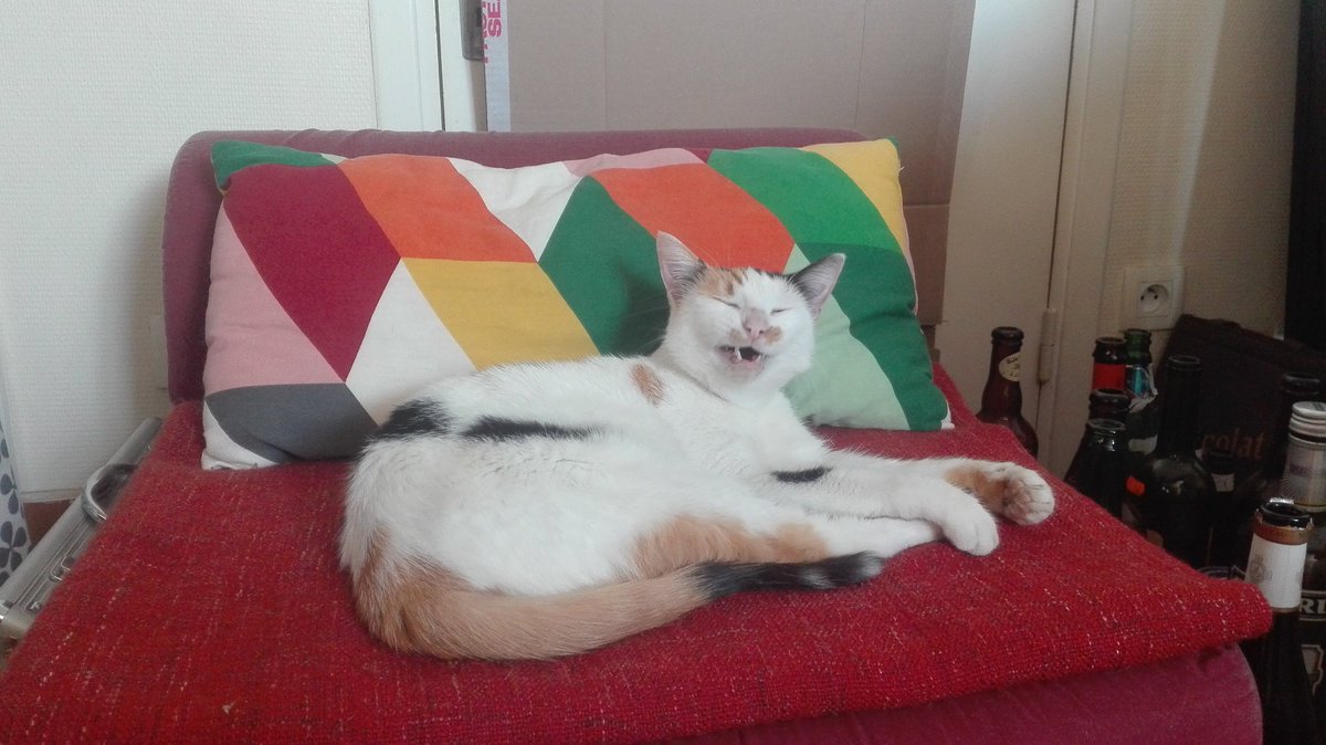 VictroLescro's tweet photo. Oh bah princesse, on se réveille ? Dur dur hihi https://t.co/wP5JKvGifF