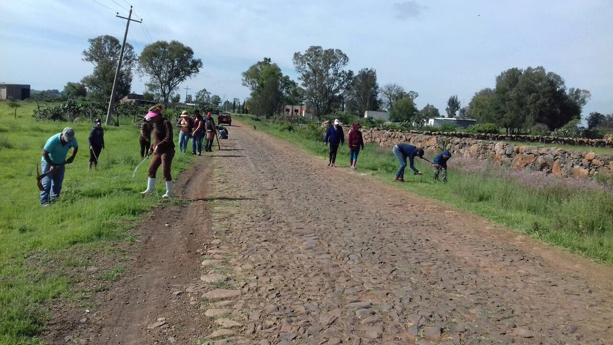 PETSCTJALISCO1's tweet photo. Con 3935 jornales @PetSCT conserva 11 kms del Camino El Salero-El Alto en el municipio de San Ignacio Cerro Gordo @SalvaFdezAyala @rbm1971 https://t.co/pIzJABX9H7