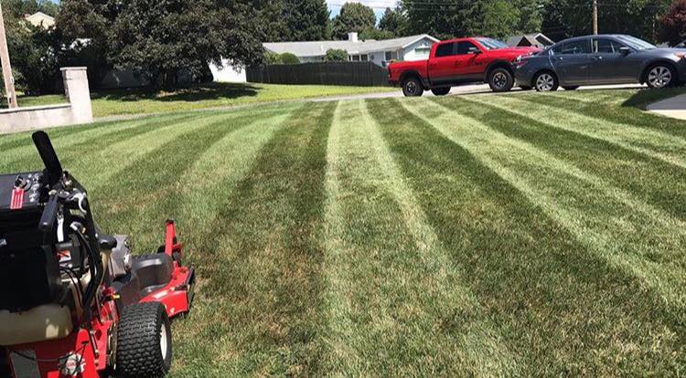 GravelyMowers's tweet image. #GravelyStripes of the week!