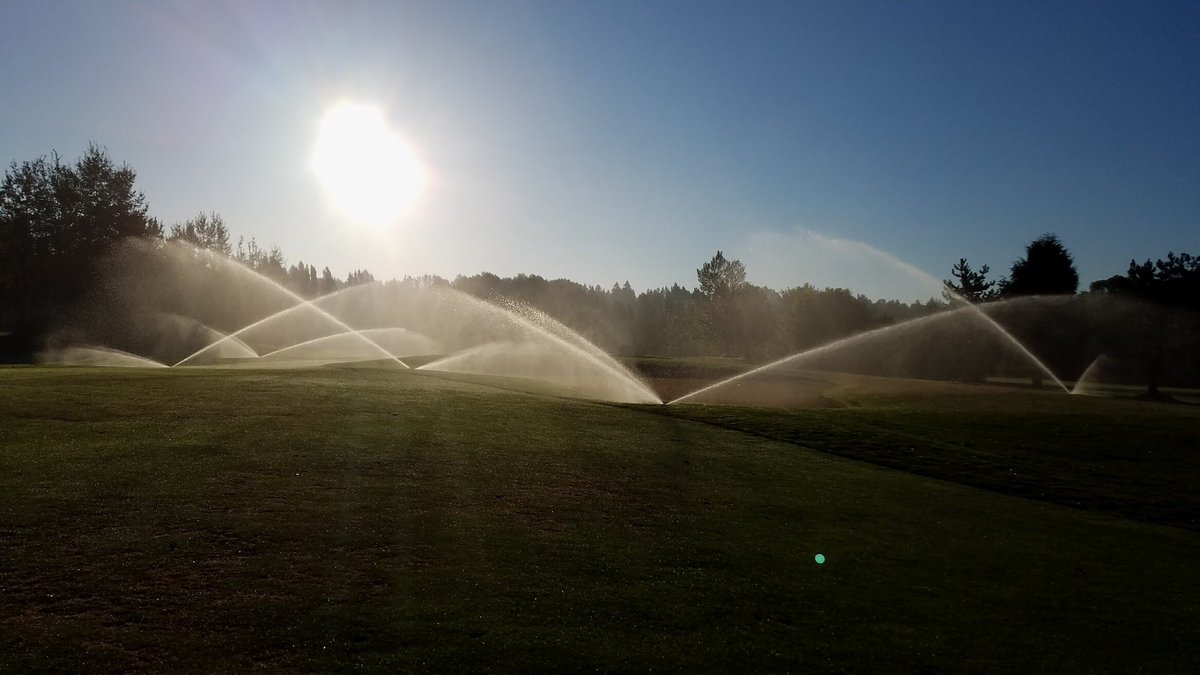 WillowsRunGolf's tweet photo. Loads of sunshine this week, we love it! #getoutandplay #willowsrungolf https://t.co/iYOCzPAnsR