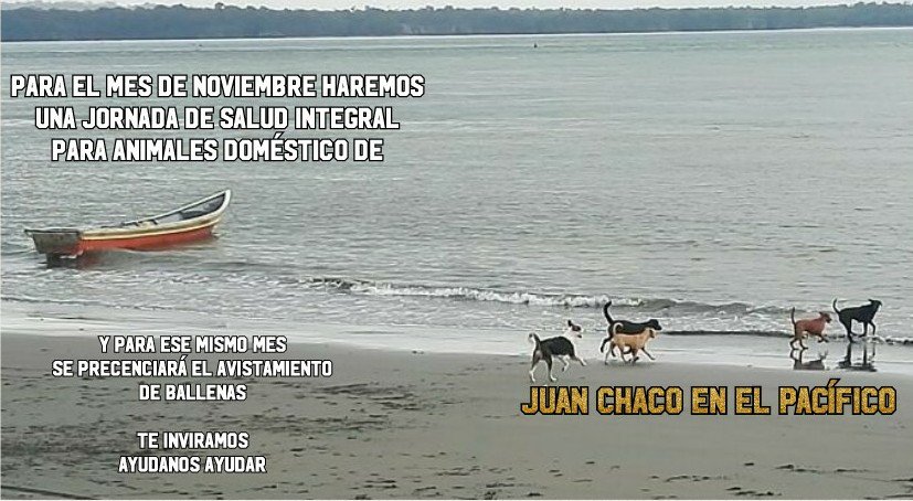FEVMproteccion's tweet photo. https://t.co/0WTVDo2lzc