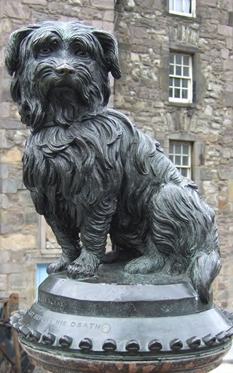 Edinburgh's most famous dog: Greyfriars Bobby. DYK his bowl and collar are in the Museum of Edinburgh? #NationalDogDay #dogsinmuseums