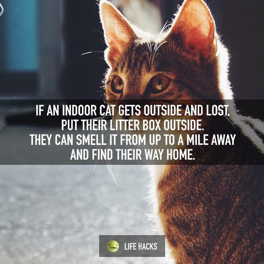 CreativeIdeabd's tweet image. 