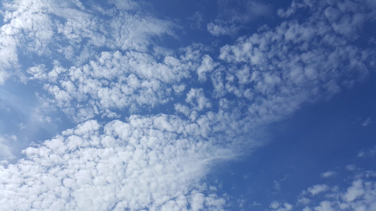 GordonandRumsby's tweet photo. Here's a little bit of lovely to wrap up your week: blue sky and fluffy clouds in Colyton today #sky #clouds #thatsbetter https://t.co/Aul8ZbcfpO