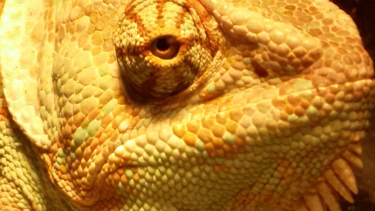 Animal Sanctuary @Butterfly World tweet media
