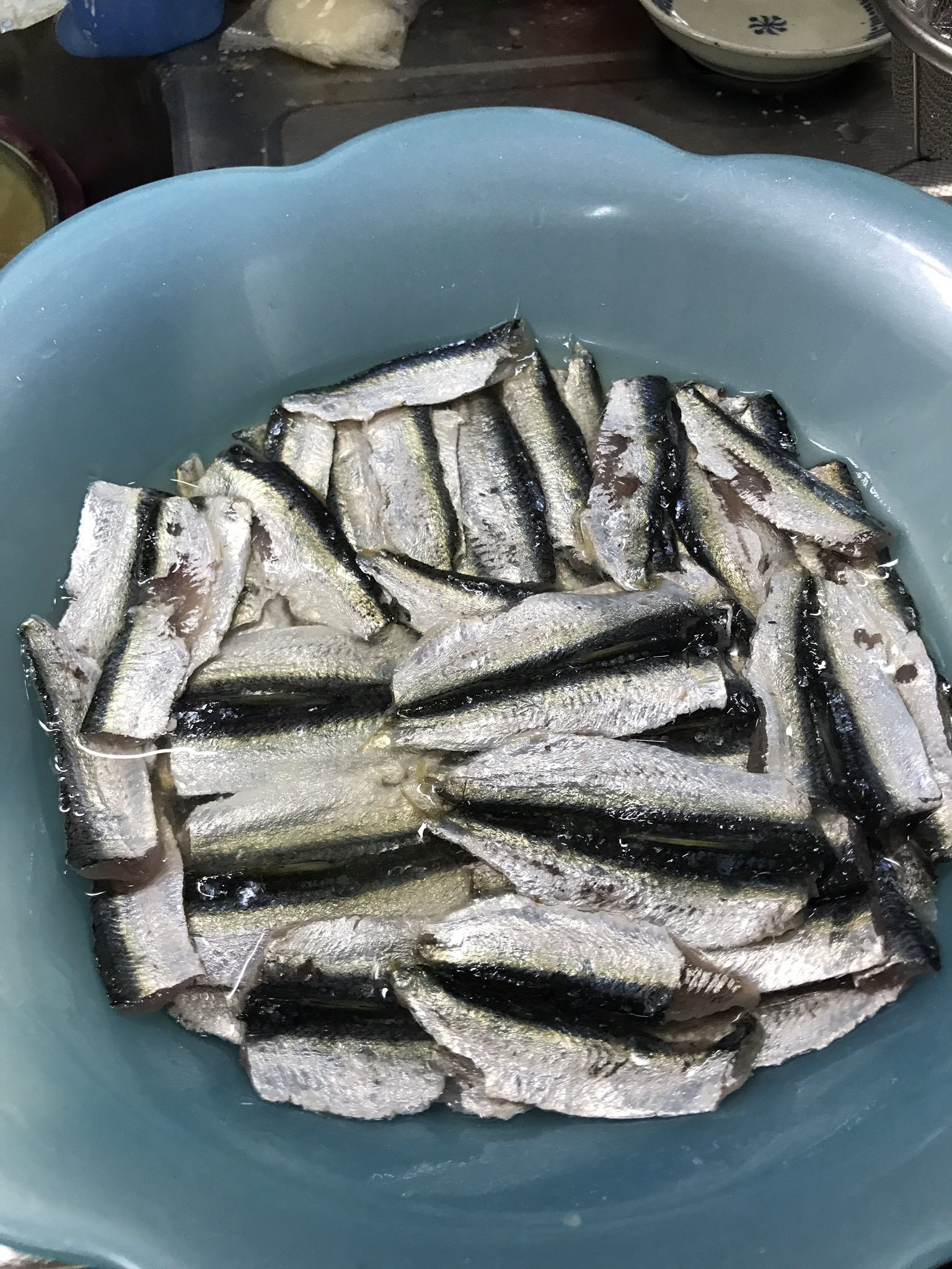 農大アウトドアフィッシングサークル サッパの酢じめ ママカリ の仕込みちゅうです 隣の家にマンマ 飯 を借りにいくほどうまいそうな サッパとコノシロは食べる地域と全く食べない地域に分かれるそうで ママカリは岡山の郷土料理で コノシロはコハダ