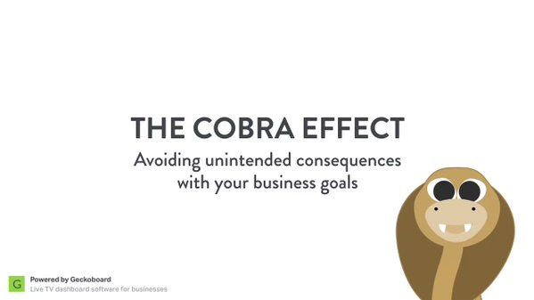 geckoboard's tweet image. What does 1800s British Empire, cobras &amp;amp; your business have in common? More than you’d think #CobraEffect buff.ly/2wEvtjm