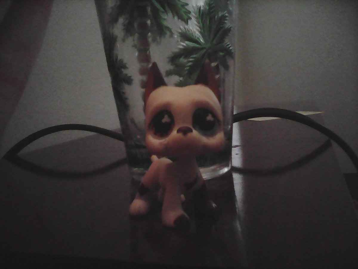 I named him sans because of the bone on his chest