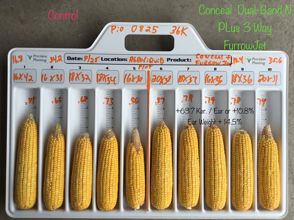 Scouting more corn trials today.  @precision_plant Conceal and FurrowJet trials continue to impress. #nohiddenhunger