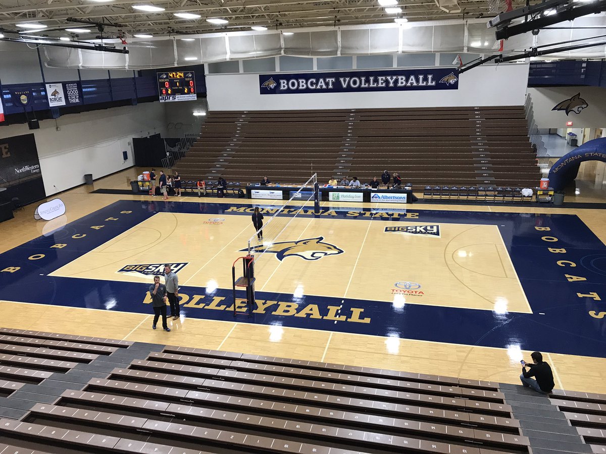 MSUBobcats's tweet photo. Shroyer Gym ready for @MSUBobcatsVB to make its debut 😎 #gocatsgo https://t.co/reEWv3gQDP