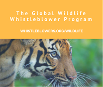 Marine Community tweet media