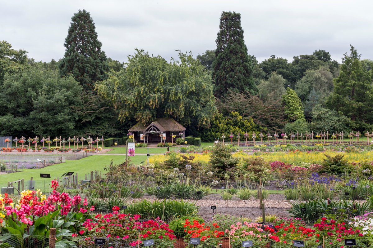 Missed yesterday's news? Wisley and 500 historic trees are at risk from Highways England's plans - find out more at rhs.org.uk/wisleythreat.