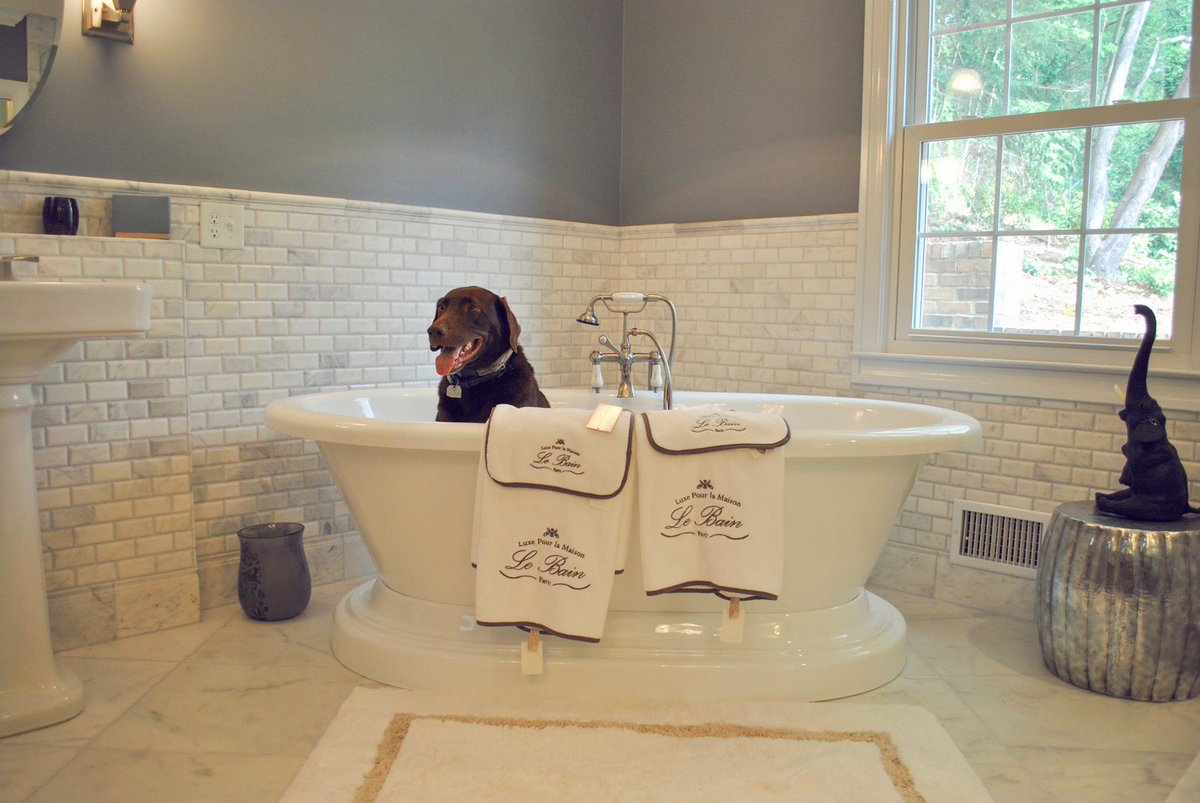CallCRR's tweet photo. It's agreed. This was a doggone good project. Ready to rethink your space? #CallCRR #bathroomremodel #spacetransformation #weekendvibes https://t.co/NJUPzWDl19