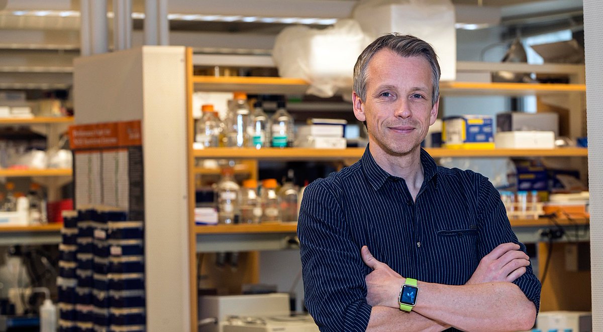 BostonCollege's tweet photo. Study led by BC biologist may help predict how bacteria evolve, adapt, and become resistant to antibiotics: https://t.co/lDiFnRBzw6 https://t.co/lmac0qIRPv