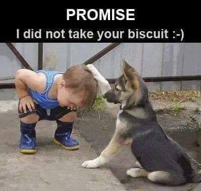 MyteBox's tweet photo. Really π π
For More Visit Page : @MyTeBox
#oops #Cute #Puppy #CutePuppy #MyTeBox #SmilePlease #KeepSmiling #Kids #CuteKids #doglovers https://t.co/HXFFjIw2Rh