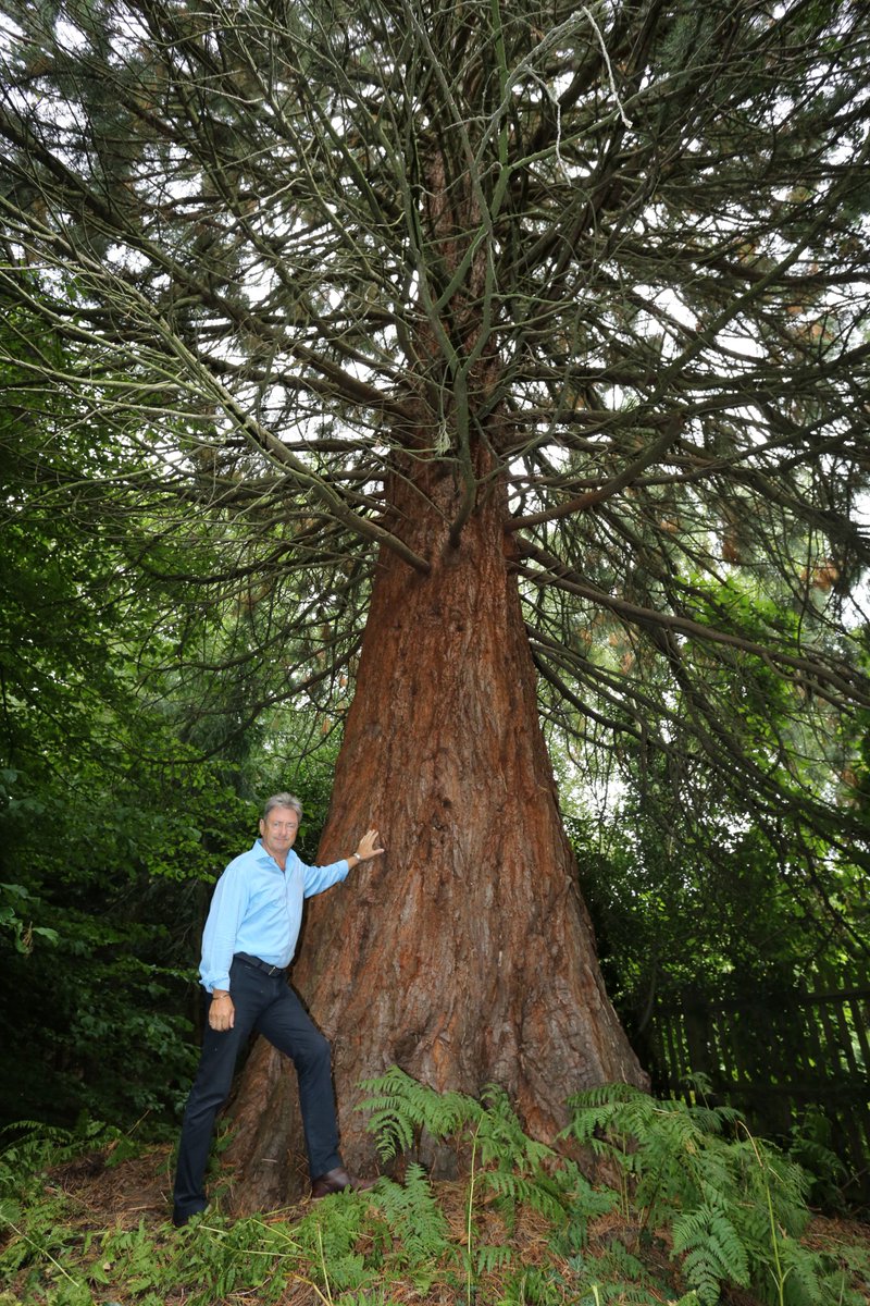 Historic trees that are over 100 years old are under threat at <a href="/RHSWisley/">RHS Garden Wisley</a> - sign our petition to protect them: thepetitionsite.com/takeaction/372…