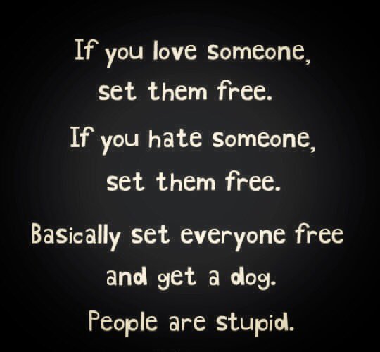 da_zori's tweet photo. I like my dogs more then 95% of people I encounter #animallover #lovemydog #peoplesuck https://t.co/VOaurG4GPU