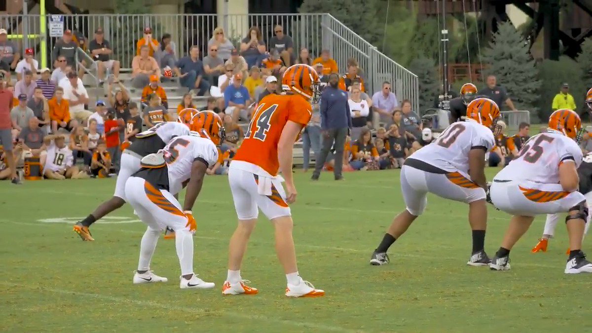 Is it Sunday yet? 🏈 #Bengals50 https://t.co/EYEaU6wYVE