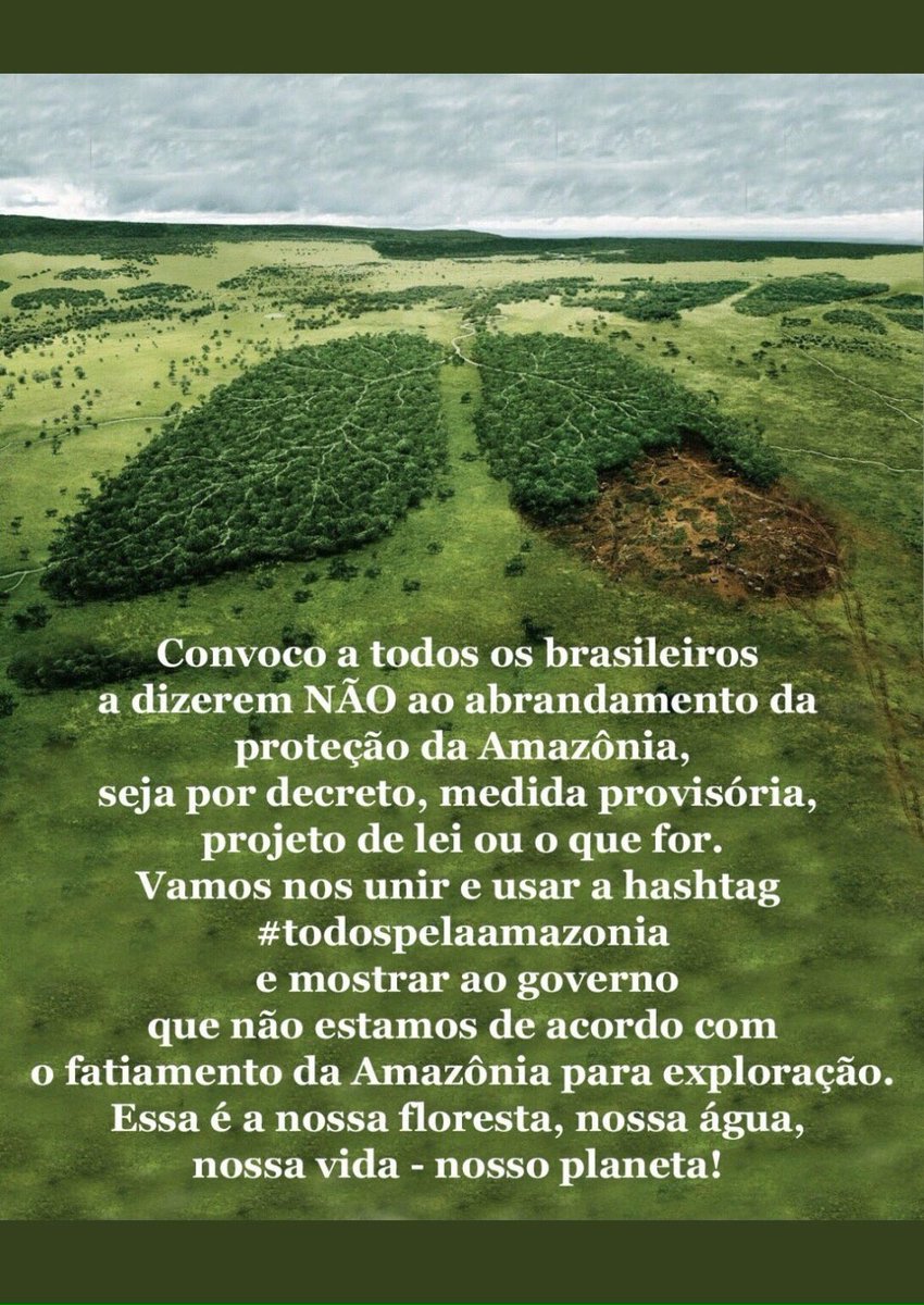 frutisweet's tweet photo. No soy de 🇧🇷,pero No podemos seguir destruyendo nuestro planeta! 🌳🌲🌎🌷🐍#todospelaamazonia #togetherforamazon #todosporelamazonas @NathiSmiith https://t.co/5MfCUj80Ll
