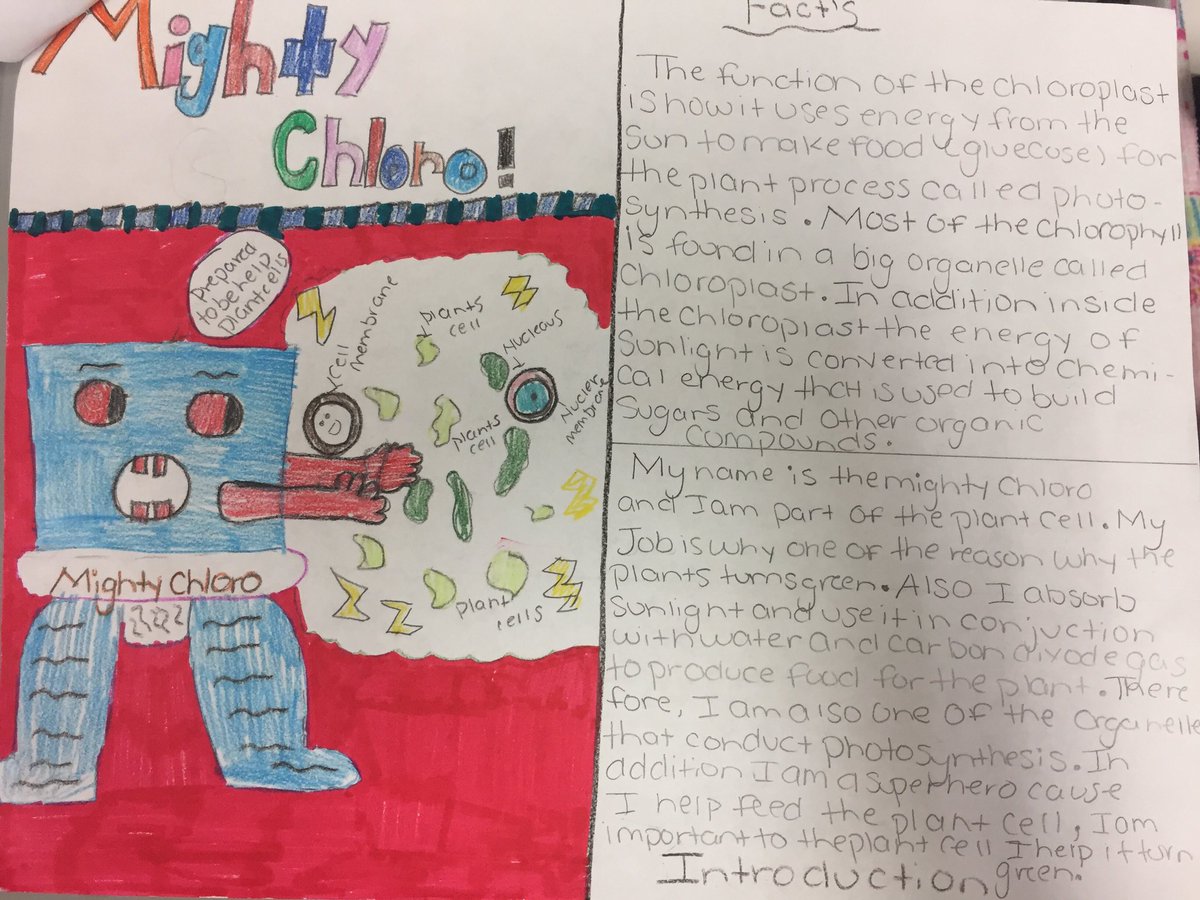 AClaireFermin's tweet photo. Cell Organelle Superheroes! #lifescience https://t.co/MiaejQfzua