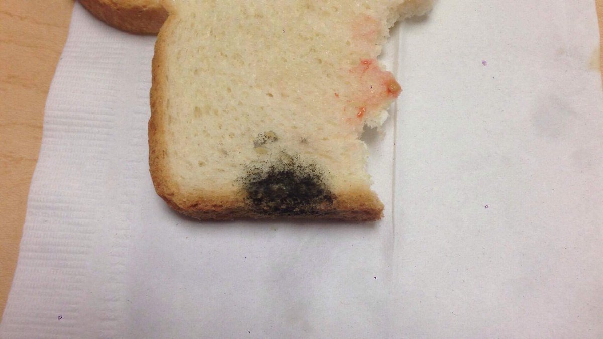 nooodlearms's tweet photo. @UMDdining @presidentloh MSOM has been exposed to raw meat &amp; mold every day of early week at SC diner with multiple cases of food poisoning https://t.co/AVRbHKNJU2