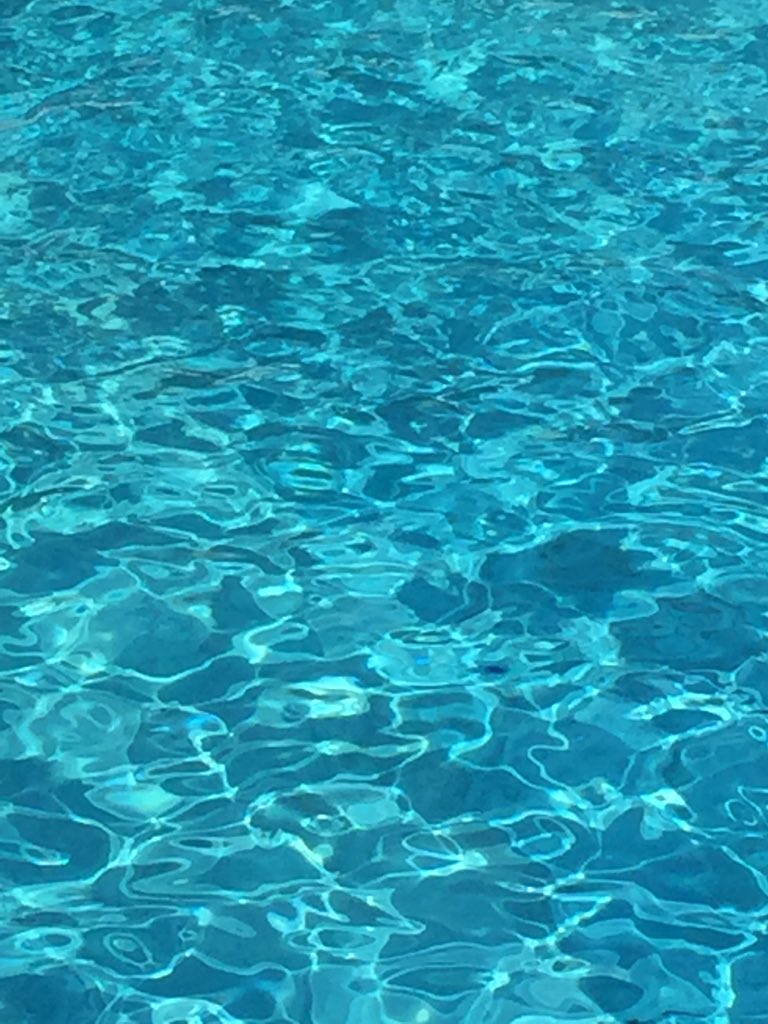 Penny Mordaunt tweet media