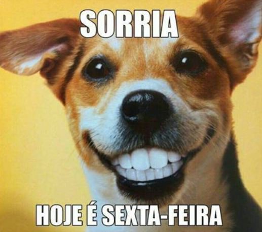 drbernardolopes's tweet photo. Excelente final de semana para todos! https://t.co/rmS4Wc8sHl