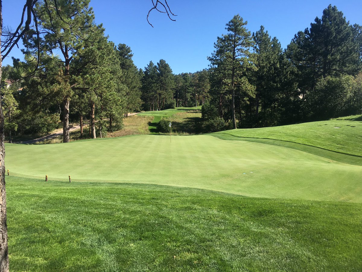 Sean McCue tweet media