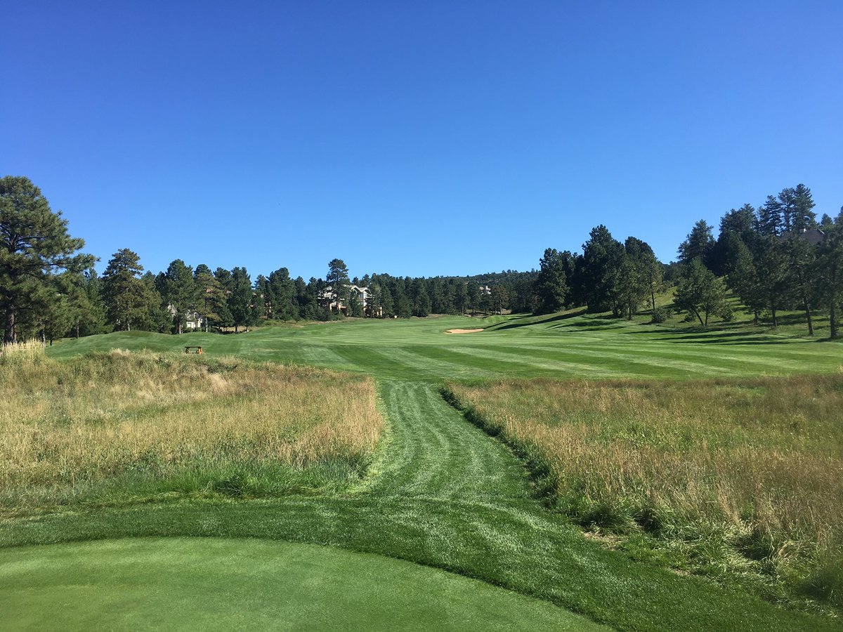 Sean McCue tweet media