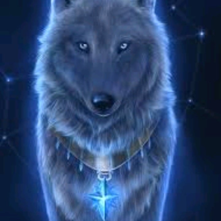 DaughterOfAPack's tweet image. #NewProfilePic