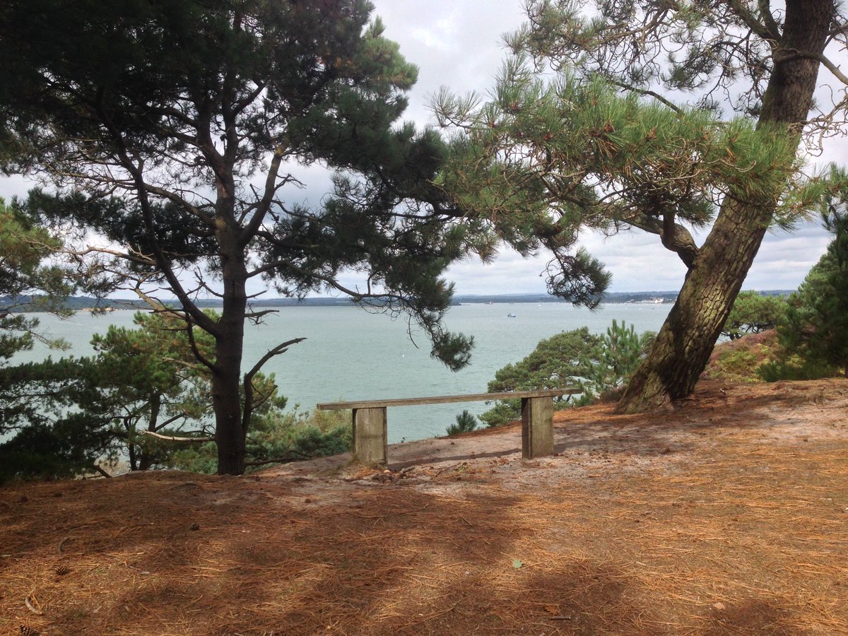 SWTstephw's tweet photo. Highlights from our Brownsea residential: sika deer, nightjars, glow worms, spoonbills &amp; ofc lots of red squirrels! Thanks @DWTBrownsea! https://t.co/1W7ek9j0t4