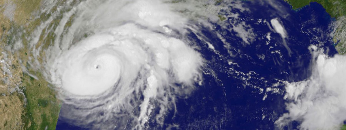 Moody's - Insurance Solutions tweet media