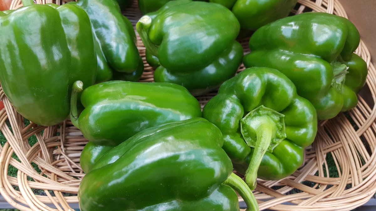 Go green at #Hampstead market today with an array of fresh veggies straight from the farm. We're open from 10-3. #farmersmarket #london