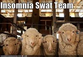 AllAmerMattress's tweet photo. Need to combat insomnia? Try sleeping on one of our mattresses!  #JoeKnowsSleep #Insomnia https://t.co/iZg5O2TX8Y