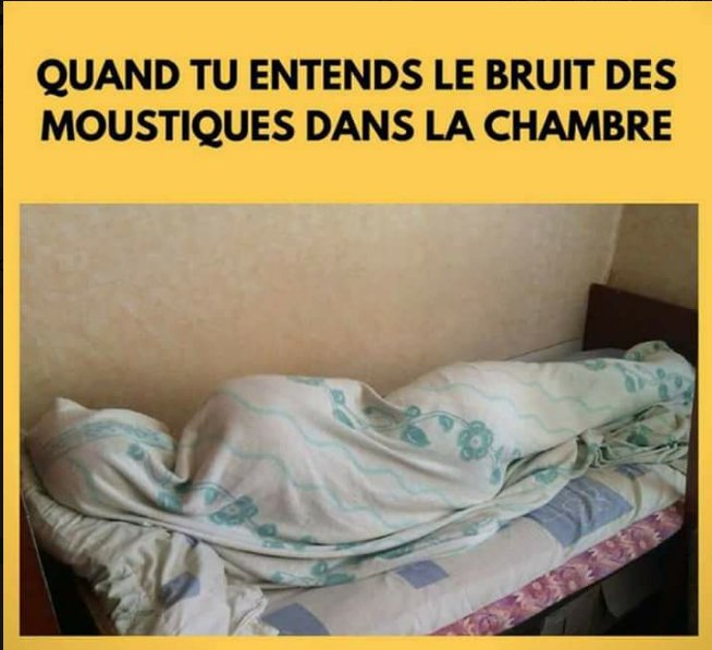 BeaoncaElla's tweet photo. 😀😁😂 Or vraiment hein !!! #team225 #Burkina #niger #ivoirien #flash225 #civ #CIV225 https://t.co/3iQeLlGoRS