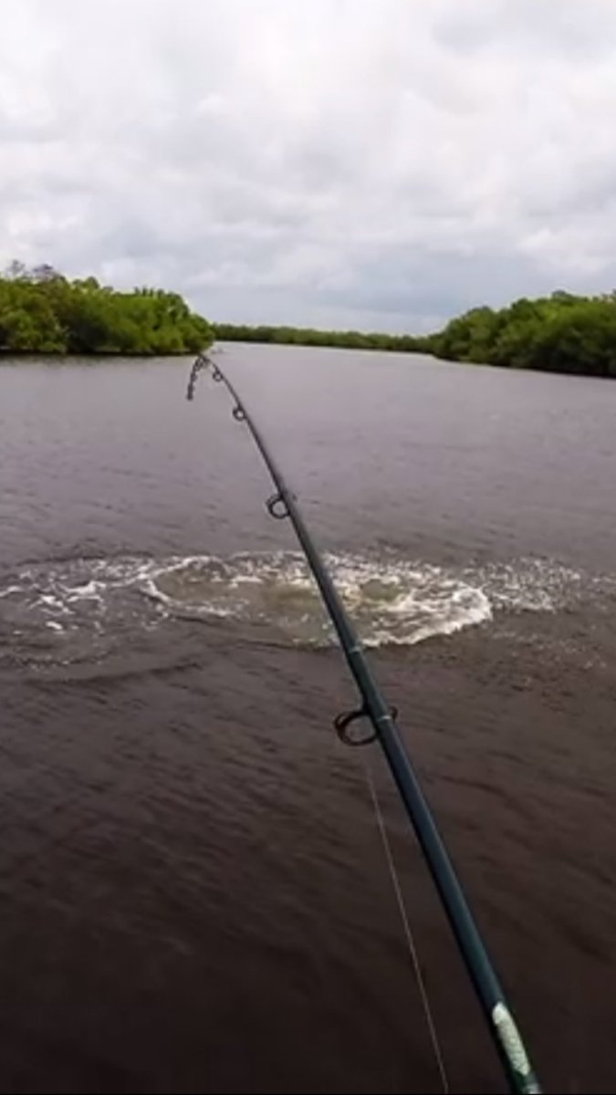 BentrodTherapy's tweet photo. @Tie1onCharters @MissAnnieChtrs @RealSaltLife @feel_reel @TheBoatCapt Is there any other way? #BentRodTherapy https://t.co/nTlhU6ZnIB