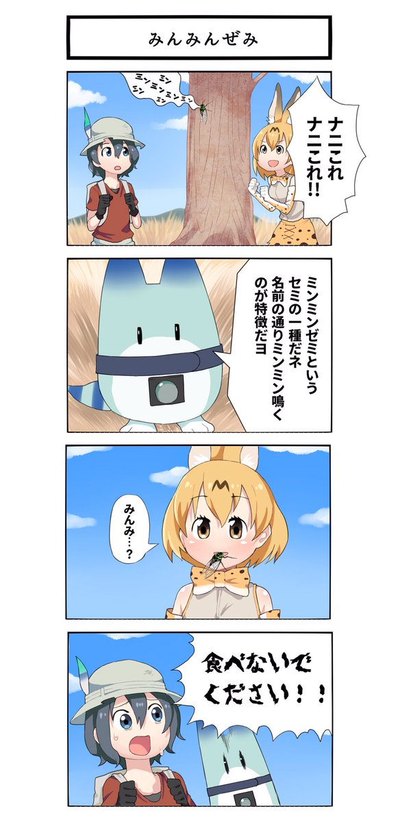 大久保めんま Twitterissa ネコってよくセミ食べるよね 大久保めんま Twitterissa ネコってよくセミ食べるよね