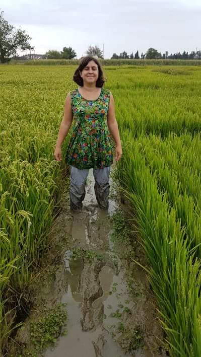elsa_ballini's tweet photo. That's why I prefer to work on wheat blast! https://t.co/ZzRWTcYnUy