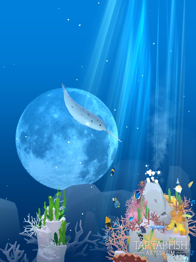 SlicedBreadLoaf's tweet image. My Narwhal:) 
#taptapfish
Download: onelink.to/jhe4sh