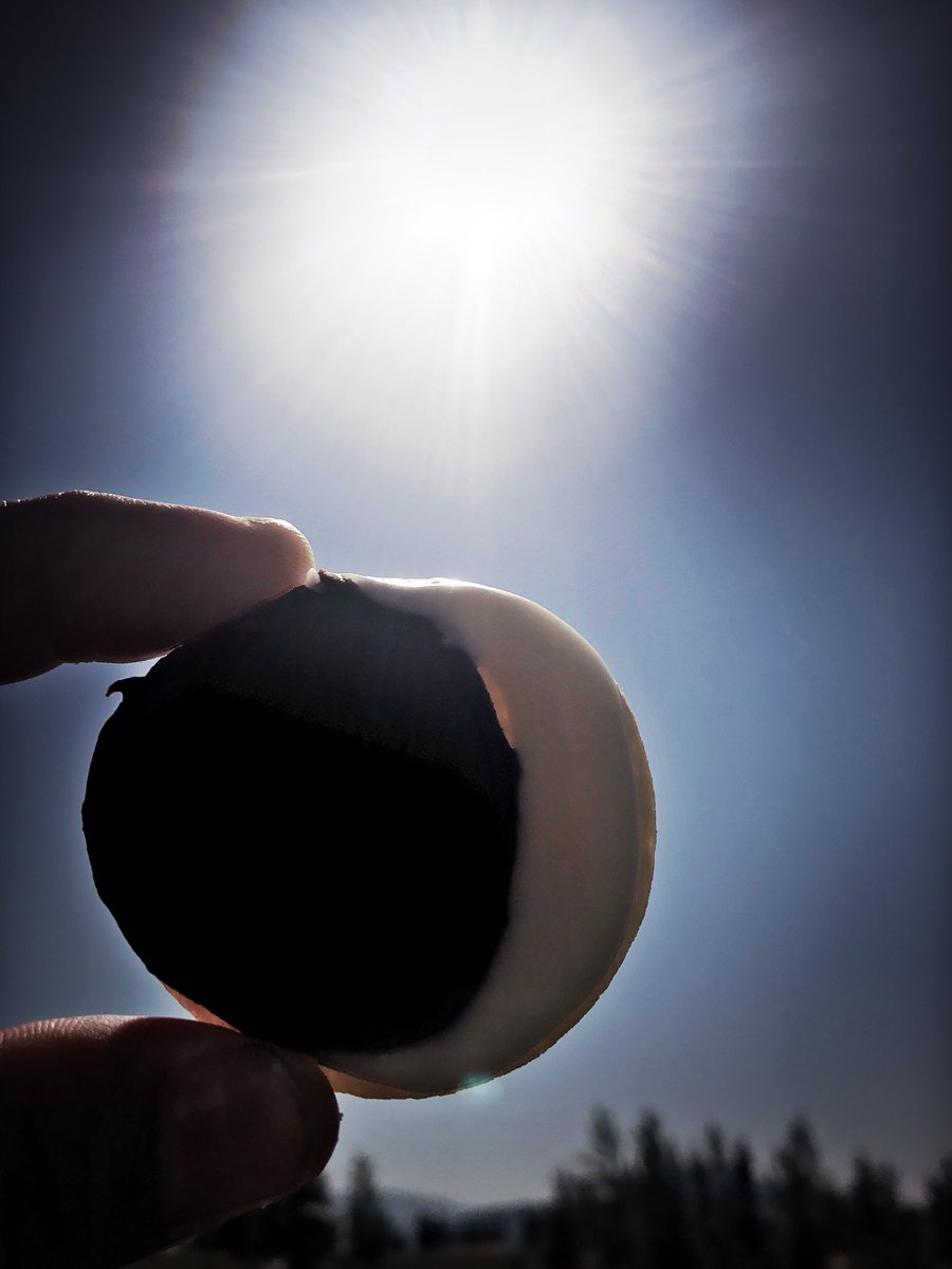 RobMorrow_'s tweet photo. Happy Friday, Amigos. Black &amp; White solar eclipse cookie against the real thing. https://t.co/DTEPL1DWBm