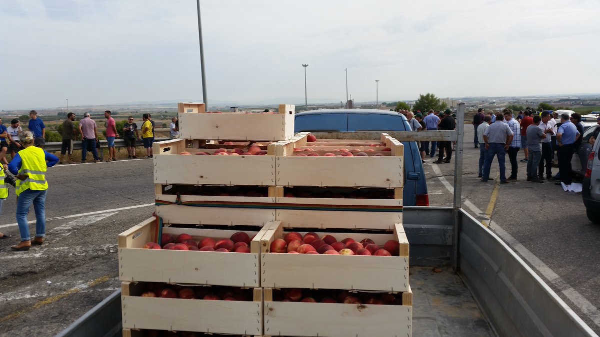 fgambus_eu's tweet photo. #pagesos estan patint fa +3 anys crisi #fruitadolça pel #vetorus. Seguim al seu costat reclamant mesures a la #UE.
📝https://t.co/VoxsHYrGxR https://t.co/IHkH6iyC54