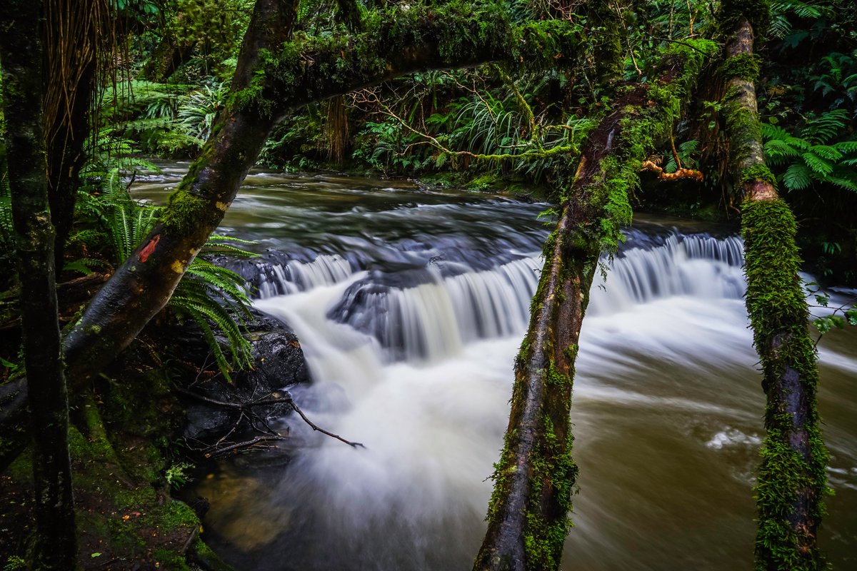 tad_graphics's tweet photo. Purakaunui Falls in The Catlins region of New Zealand's South Island. Loved it here. #waterfall #NewZealand #travelphotography https://t.co/OxvZvTg32K