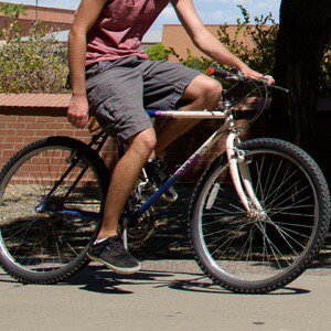 bouncybubble's tweet photo. Check it out! I just voted for Biking in the #BikesOnly Tug o' War #Ad https://t.co/aaBMZPMlGL https://t.co/Vz25zgqSxT