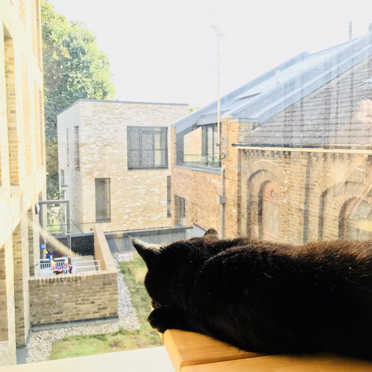greenwich_guy's tweet photo. Patiently waiting for @MarcACB to get home so we can enjoy the weather and the start of the long weekend. https://t.co/P1EvOl2BKC