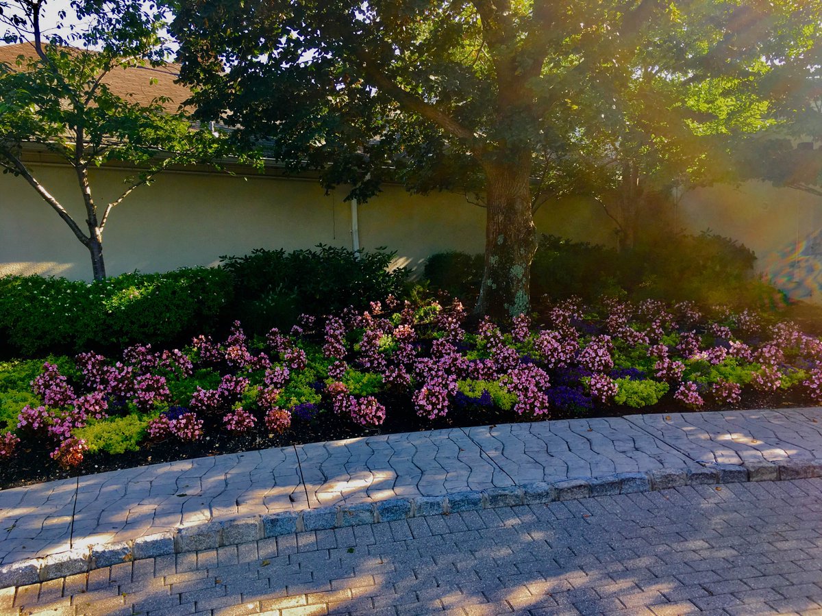 FertNdirtJack's tweet photo. Thank you @jumpingbrookcc &amp; @tomhigginsturf course and clubhouse are beautiful #freshholes #healinaweek #scarletbegonias (~);-} https://t.co/KOyiAim81E