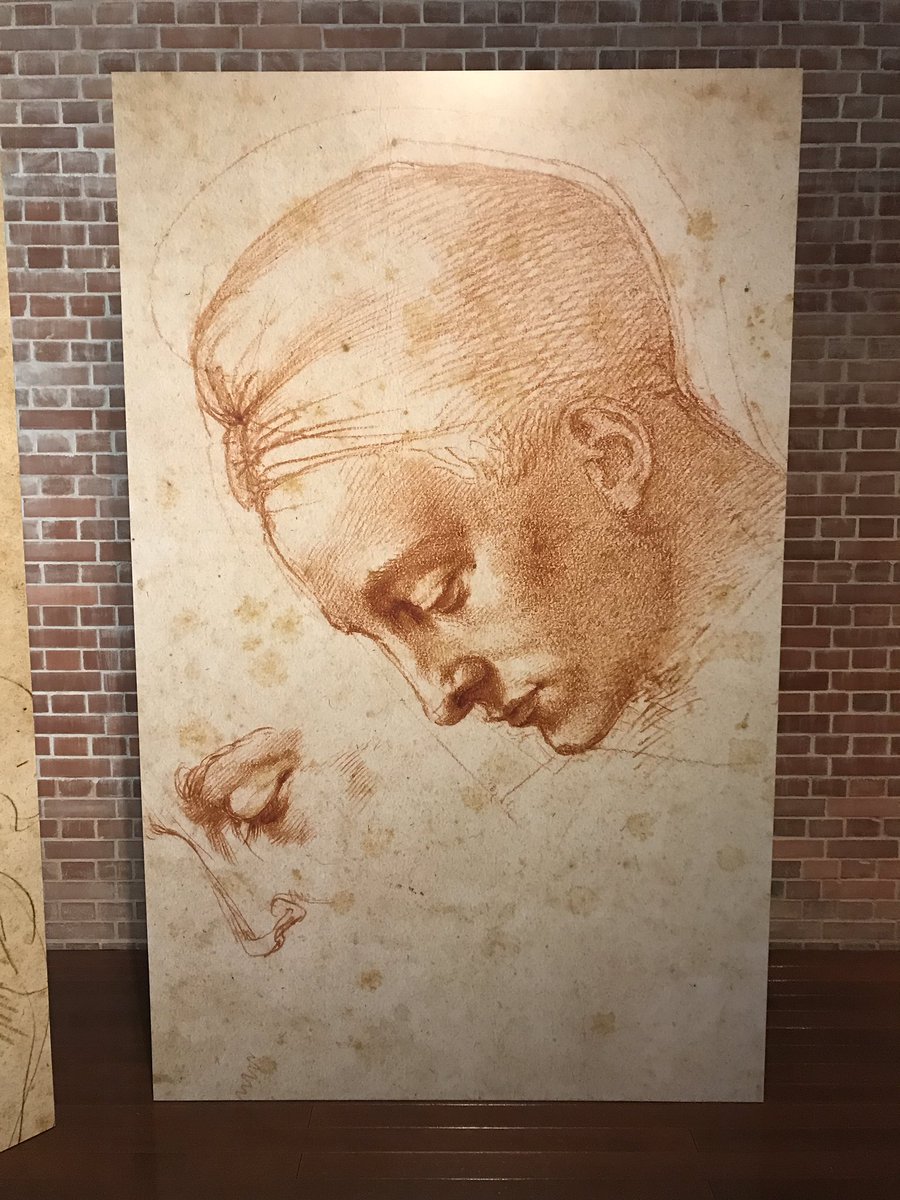 レオナルド×ミケランジェロ展行ってきたの 