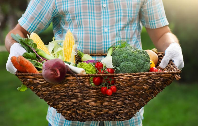LoveLocalFoodCA's tweet photo. There are so many benefits to buying locally produced food. Here they are via @EatRightOntario  https://t.co/bz7SDIHd8o #LoveLocalFood https://t.co/nx0Bj1wgxM