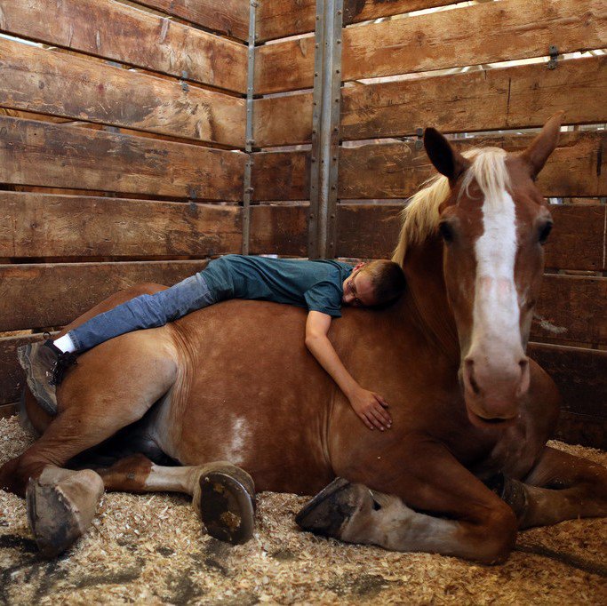 StarTribune's tweet photo. Post your fair photos on Instagram with #StribStateFair to get printed in the paper! This one is by @AnthonySouffle https://t.co/uSOMggE502 https://t.co/mZMnpdTzLW